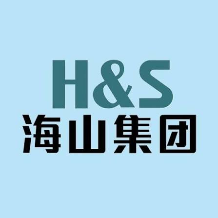 Grupo H&S